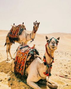 Desert Tour From Marrakech Itinerary