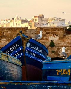Excursion from Marrakech to Essaouira
