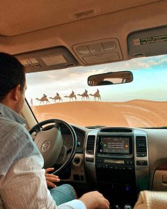 Camel Trekking In Morocco